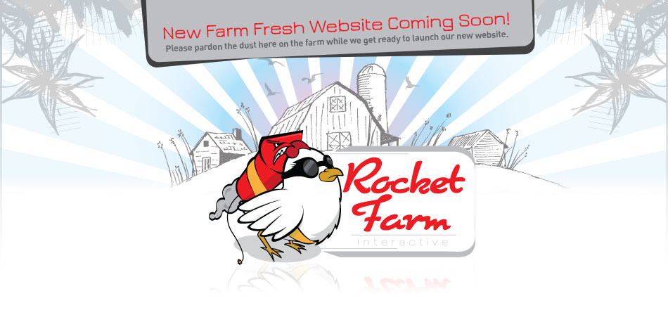 New York and New Jersey Web Design and Development by Rocket Farm Interactive